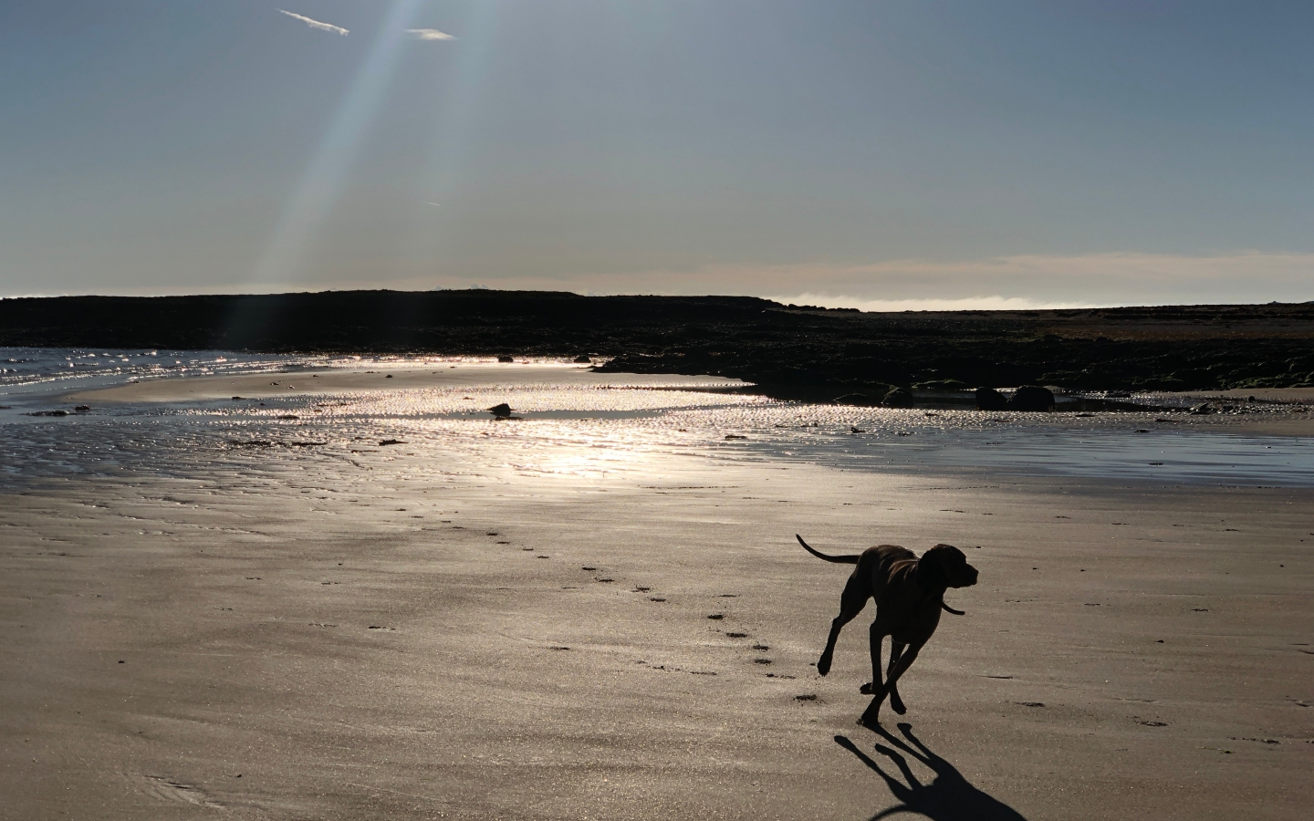 Indy at Rhosneigr